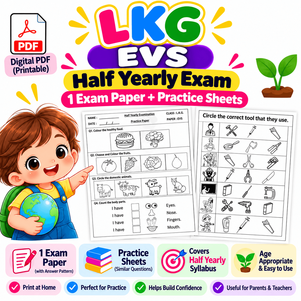 LKG EVS Half Yearly Exam Paper PDF